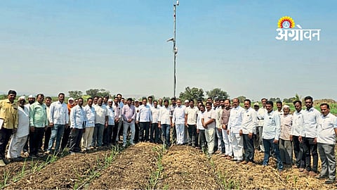 Use of artificial intelligence in sugarcane farming India