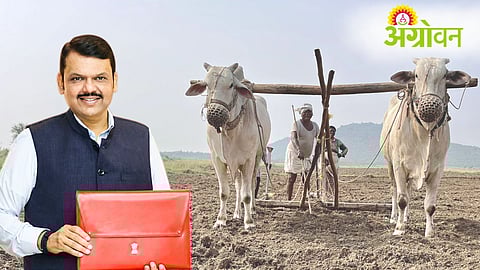 Farm Loan Waiver