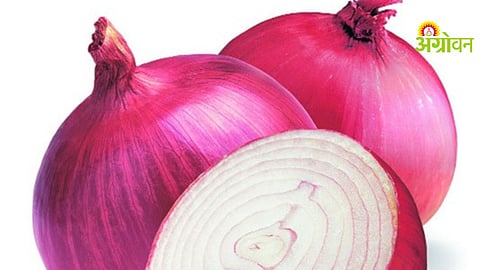 Onion Market