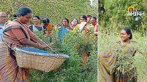 Inspiring story of women farmer in Maharashtra