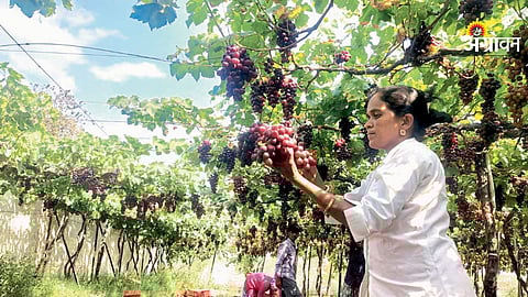 Women entrepreneurship in food processing industry