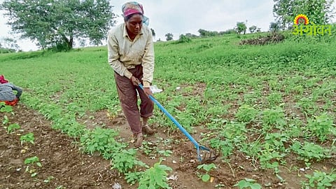 Challenges faced by women farmers in agriculture