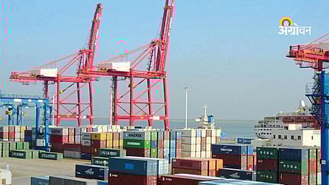 Impact of agricultural exports on Indian farmers