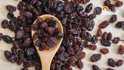 Illegal Raisin Imports: बेकायदेशीर बेदाणा आयातीवर नियंत्रण ठेवावे 