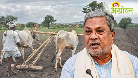 Karnataka Agriculture Budget