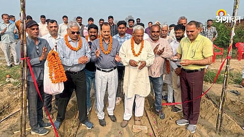 AI technology in sugarcane farming in India