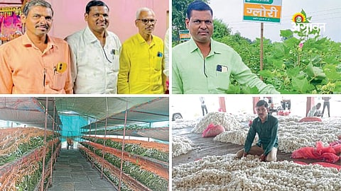 integrated farming model with orange cultivation in Maharashtra