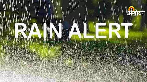 Rain forecast in three districts of Maharashtra