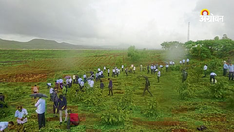 impact of industrialization on environmental balance