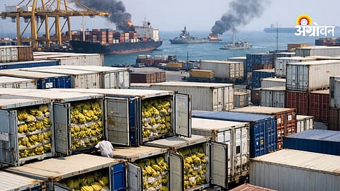 Banana exporters approach central government for support