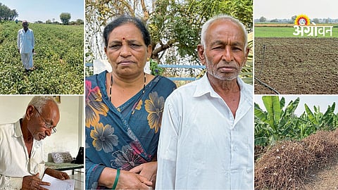 Sustainable multi crop farming system
