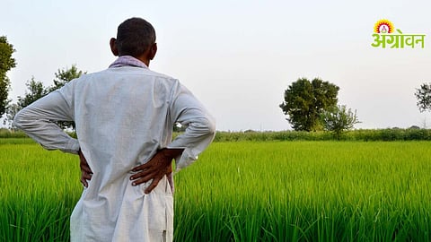 Farm Labour Shortage