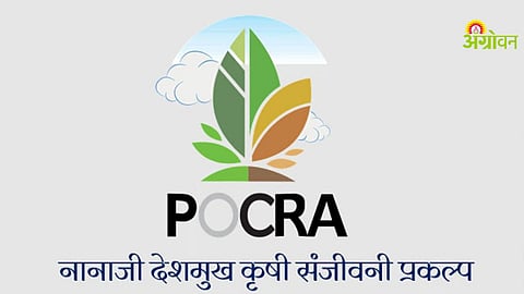 Agriculture subsidy scheme POCRA application process