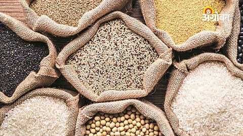 India foodgrain production statistics 2025
