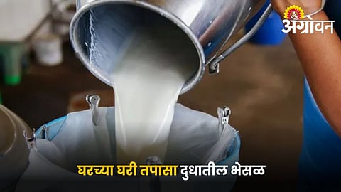 Simple tests to check milk purity at home