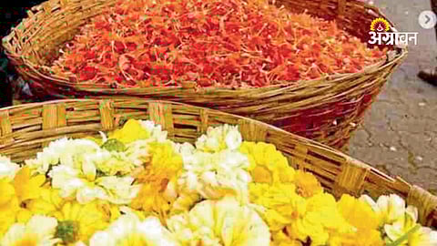 encroachment drive at Dadar flower market Mumbai