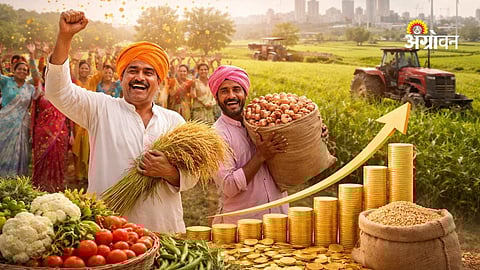 Buldhana district GDP growth in Maharashtra 2024-25