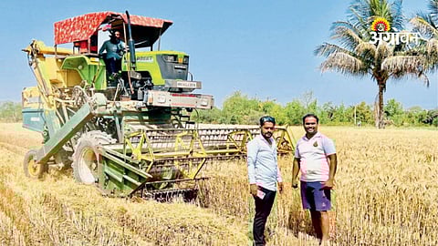 Wheat harvesting using harvester machines in Maharashtra