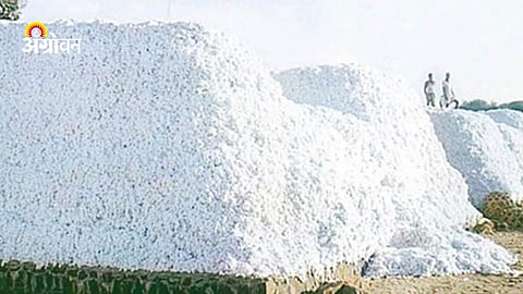 last date for CCI cotton procurement India