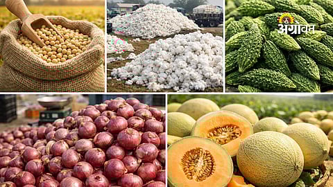 soybean market price update in India