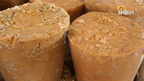 impact of Iran Israel conflict on jaggery export India