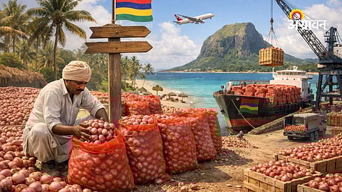 Onion Price Crash Leaves Farmers Distressed