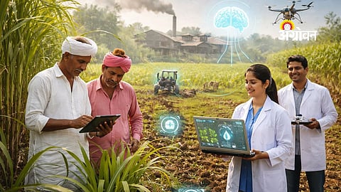 AI technology solutions for sugar industry crisis