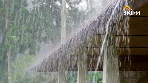 Maharashtra weather update rain and heat forecast