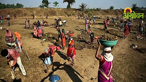 MGNREGA Scheme