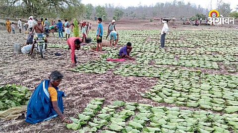 Role of Gram Sabha in rural development projects