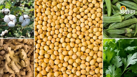 Agriculture price update