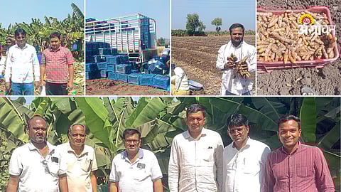 Kumbharkheda leads in banana and turmeric cultivation