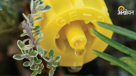 Irrigation subsidy problems in Maharashtra