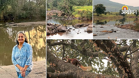 Lessons from Shailaja Deshpande’s water activism