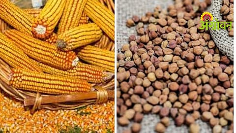 Chana Procurement Centers