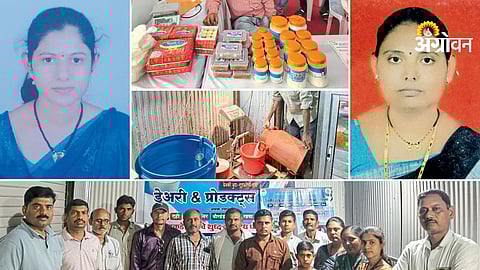 Self Help Group to Farmer Producer Company model