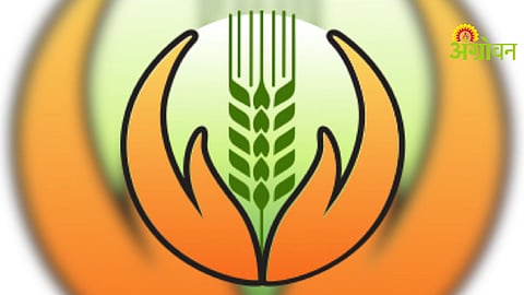 Banana Crop Insurance