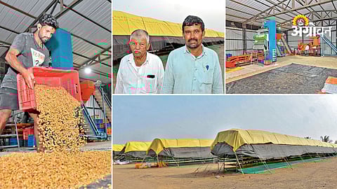 Modern mechanization in raisin processing industry