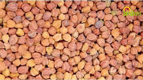 Chana Procurement