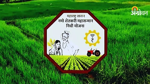 Implementation of Namo Mahasamman scheme in Maharashtra