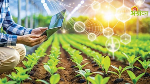 AI-Based Orchard Project Launched