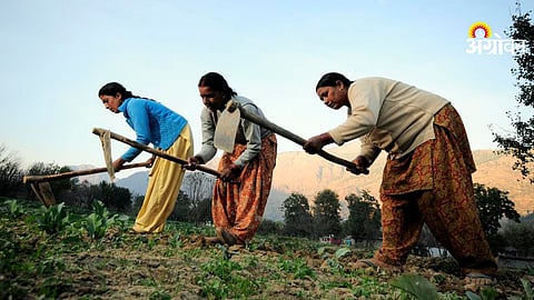National gender platform for women farmers in India