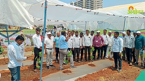 Modern Farming Technologies Highlighted at Krushi Kumbh 2026 in Nashik