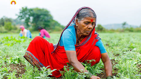  National Gender Platform