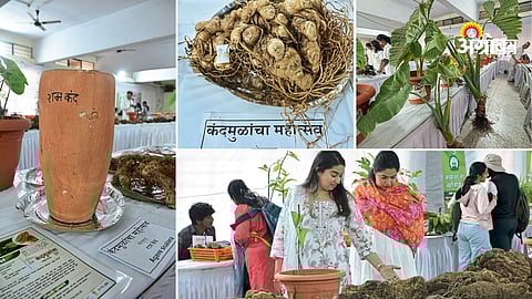 Kolhapur root crop exhibition