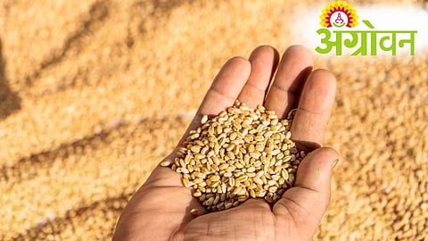 Arthiya Commission Hike