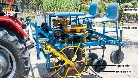 Bud chip method in sugarcane farming India