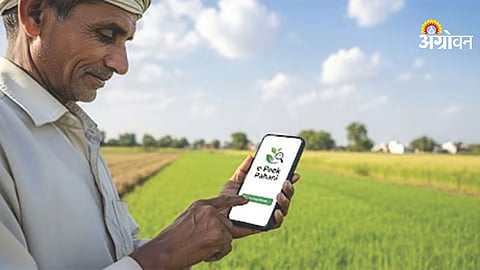 Rabi e crop survey last date extension Maharashtra