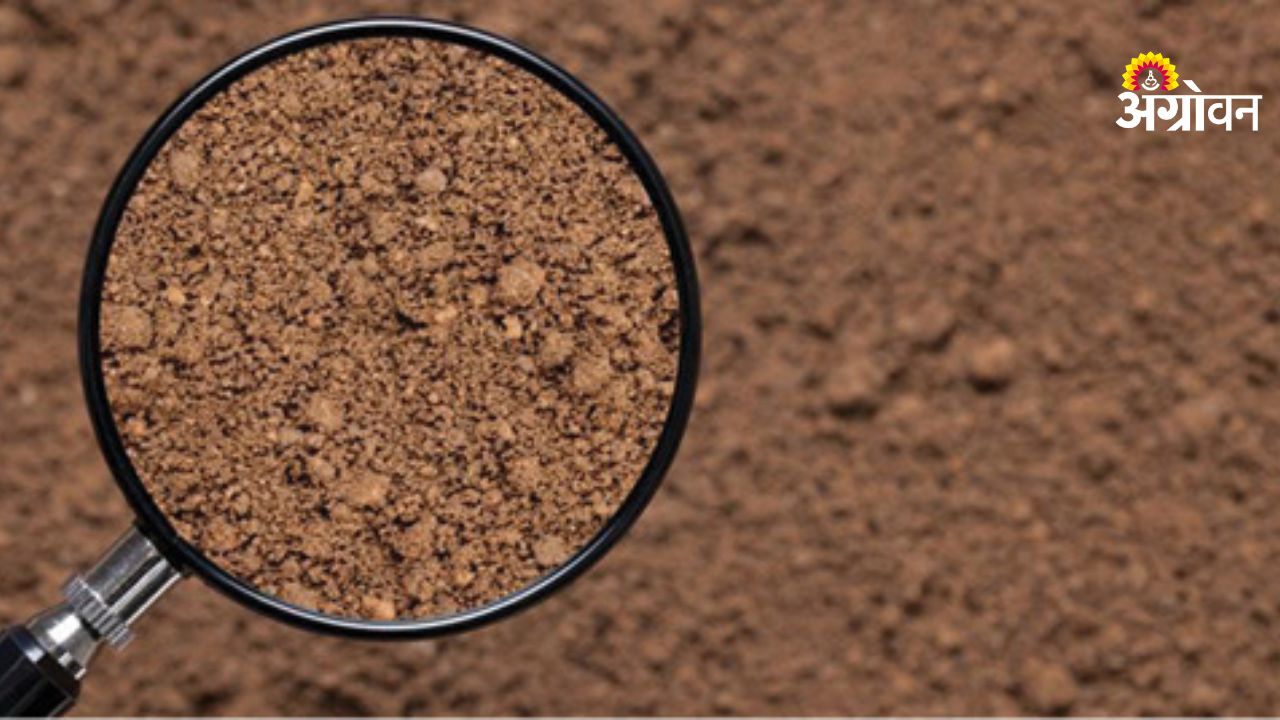 Farm input inspection report at farm level India