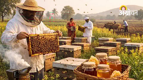 Honey revolution in Maharashtra beekeeping initiative